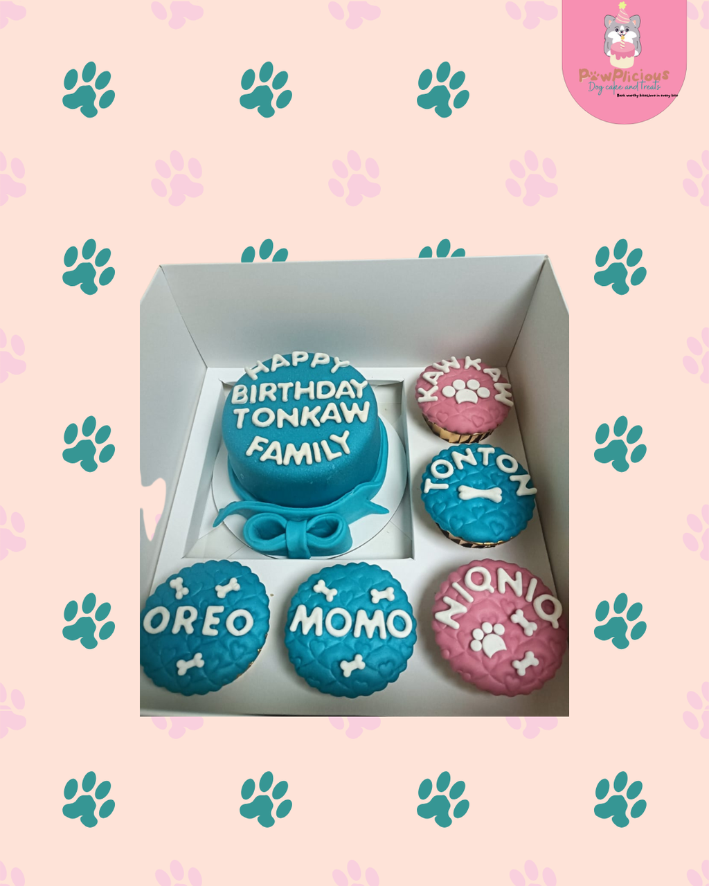 Paw-ty Treat Bundle
