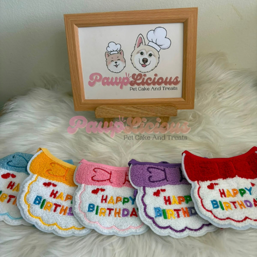 Birthday Bow Wow Hat