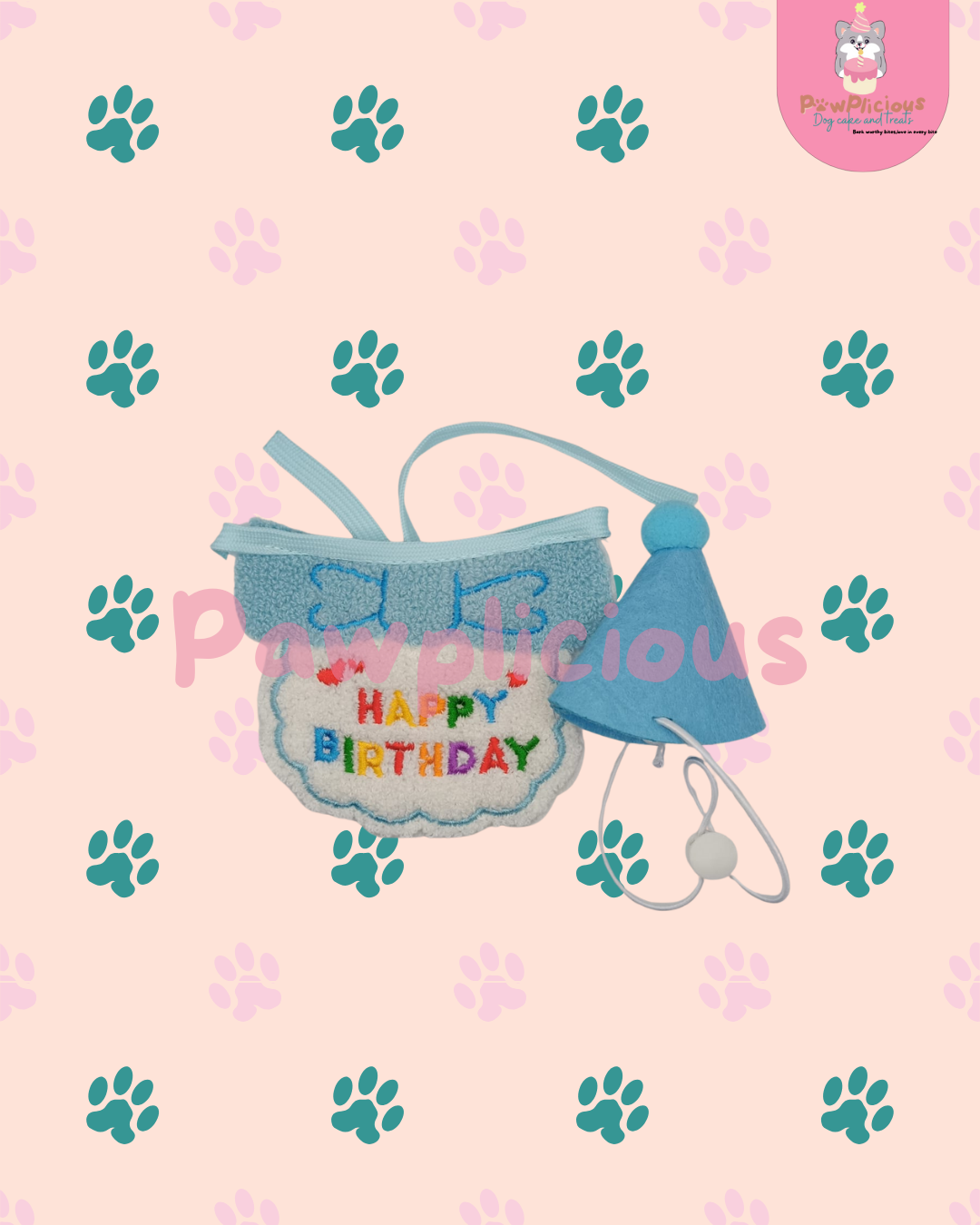 Birthday Bow Wow Hat