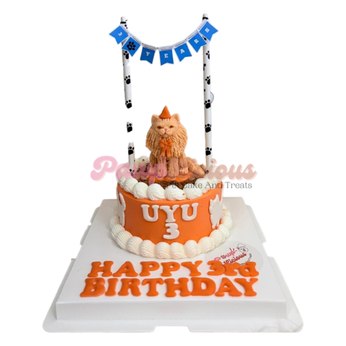 Meow Cake