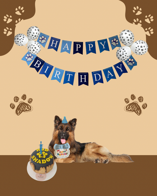 accessories for pets 
