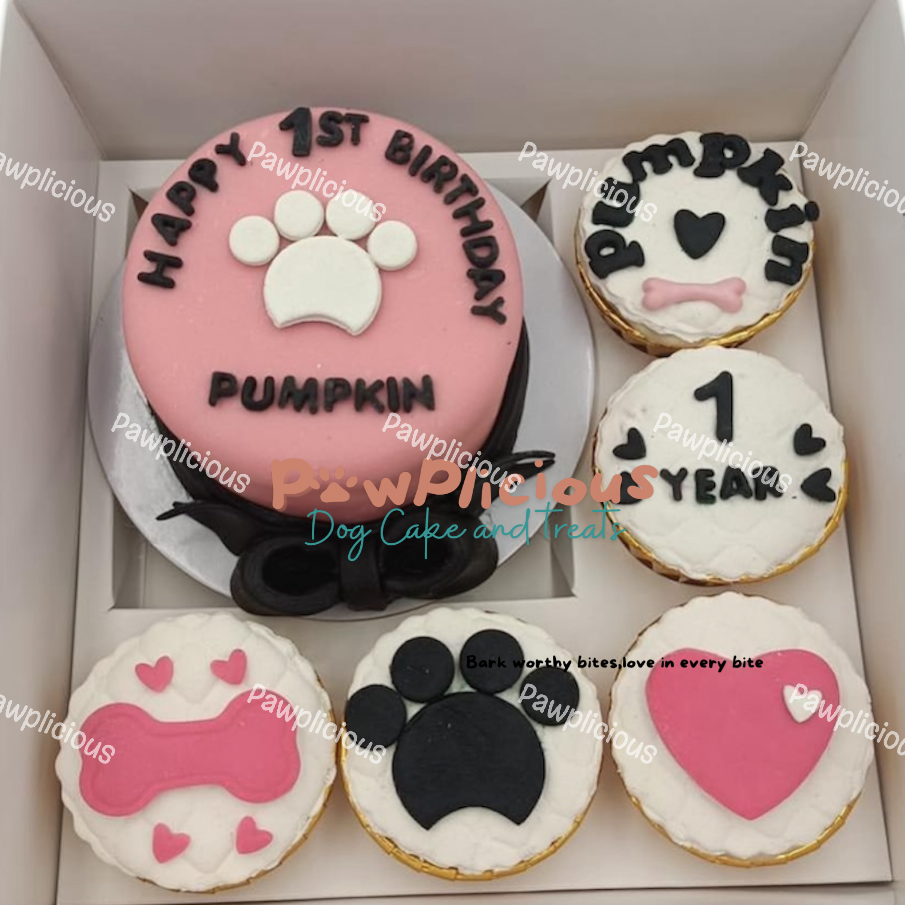 Paw-ty Treat Bundle